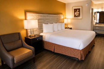 Single Room, 1 King Bed