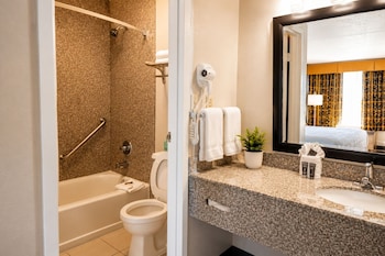 Premium Single Room, 1 King Bed, Non Smoking, Ensuite