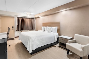 Premium Room, 1 King Bed (Upgraded Bedding & Snack, Smoke Free)
