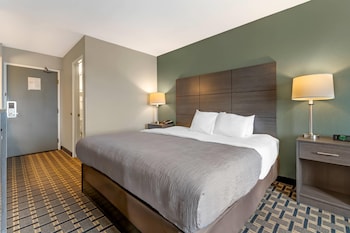 Standard Room, 1 King Bed, Non Smoking