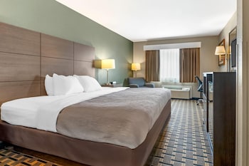 Standard Room, 1 King Bed, Non Smoking