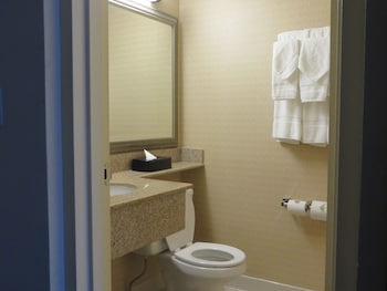Studio Suite, 1 King Bed with Sofa bed, Non Smoking