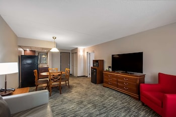 Suite, 1 Bedroom, Non Smoking