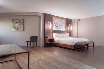 Suite, 1 Bedroom