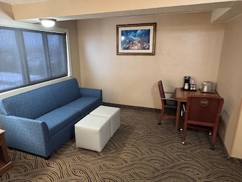 Room, 1 King Bed with Sofa bed