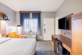 Room, 1 King Bed, Accessible, Non Smoking