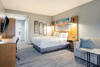 Room, 1 King Bed, Non Smoking