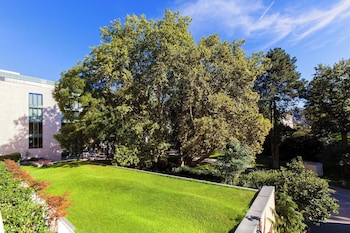 Junior Room, 1 King Bed