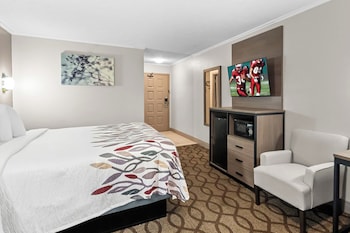 Suite, 1 King Bed with Sofa bed, Non Smoking
