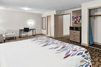Suite, 1 King Bed with Sofa bed, Non Smoking
