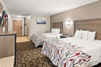 Deluxe Room, 2 Queen Beds, Non Smoking