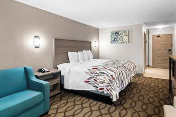 Suite, 1 King Bed with Sofa bed, Non Smoking