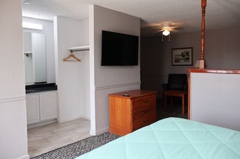 Non-Smoking Ground Floor King Suites