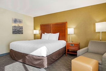 Standard Room, 1 King Bed, Non Smoking