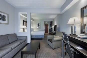 Suite, 1 King Bed with Sofa bed (Living Area)