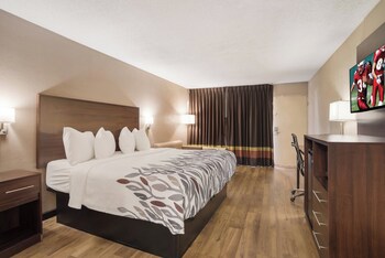 Deluxe Room, 1 King Bed, Accessible, Non Smoking (Roll-In Shower)