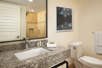 Standard Room, 1 King Bed, Accessible (Roll-In Shower)