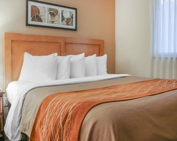 Suite, 1 King Bed, Non Smoking
