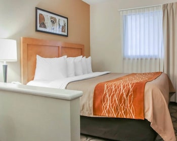Suite, 1 King Bed, Non Smoking