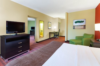 Suite, 1 King Bed with Sofa bed, Non Smoking