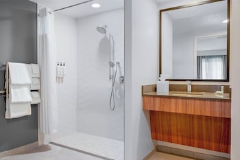 Suite, 1 Bedroom, Roll-in Shower