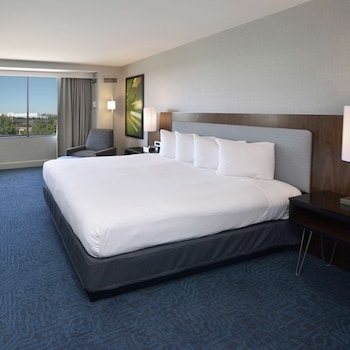 King, Room, Accessible