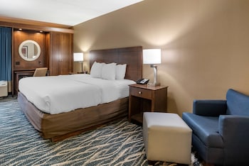 Standard Room, 1 King Bed, Non Smoking