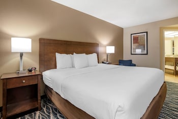 Standard Room, 1 King Bed, Non Smoking