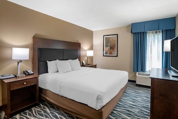 Room, 1 King Bed with Sofa bed, Non Smoking