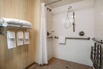 Room, 1 Queen Bed, Accessible, Non Smoking (Roll-In Shower)