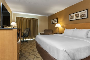 Room, 1 King Bed with Sofa bed, Non Smoking