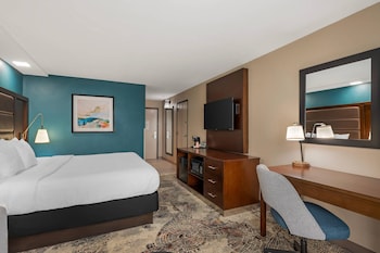 Standard Room, 1 King Bed, Non Smoking