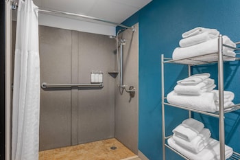 Room, 1 King Bed, Roll-in Shower, Non Smoking