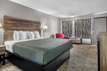 Room, 1 King Bed, Non Smoking