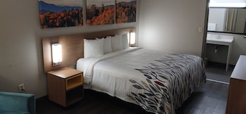 Deluxe Room, 1 King Bed, Accessible, Non Smoking (Roll-in Shower)