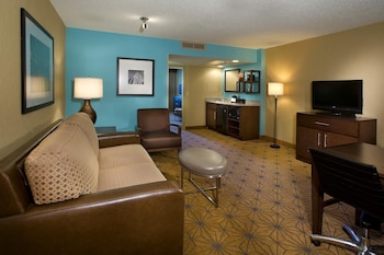 Suite, 1 King Bed with Sofa bed, Microwave (Custom)