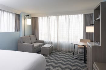 Room, 1 King Bed