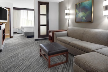 Suite, 1 King Bed with Sofa bed, Accessible Bathtub