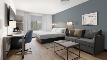 Suite, 1 King Bed with Sofa bed, Accessible Bathtub
