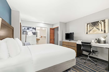 Standard Room, 1 King Bed, Accessible, Non Smoking