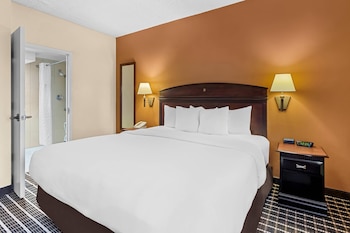 Suite, 1 King Bed with Sofa bed, Non Smoking (Upgrade)