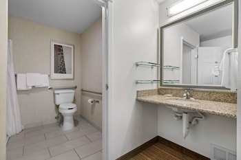 Suite, 1 King Bed with Sofa bed, Accessible, Non Smoking (Efficiency)