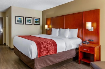 Standard Room, 1 King Bed, Non Smoking