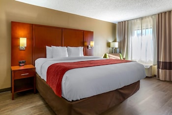 Standard Room, 1 King Bed, Non Smoking