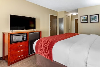 Standard Room, 1 King Bed, Non Smoking