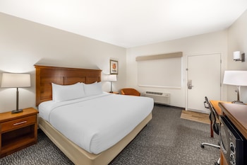 Standard Room, 1 Queen Bed, Non Smoking, Microwave