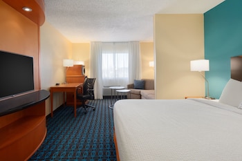 Suite, 1 King Bed with Sofa bed