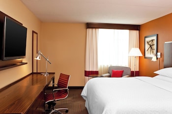 Room, 1 Queen Bed with Sofa bed, Hearing Accessible (Mobility Accessible with Bathtub)
