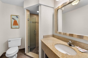 Room, 1 King Bed, Non Smoking (Upgrade)