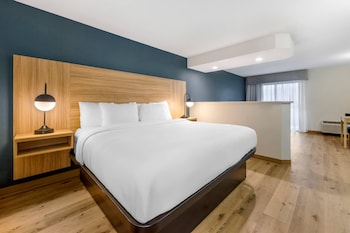 Suite, 1 King Bed, Non Smoking, Pool View (Efficiency, Balcony)